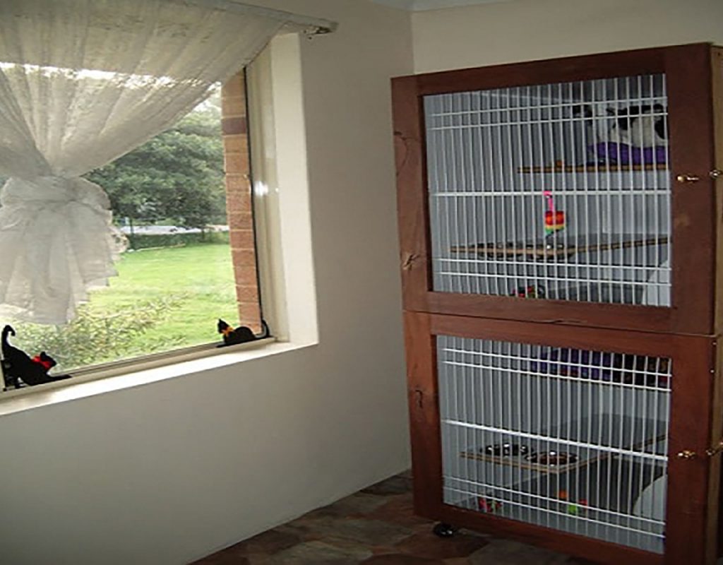 allbreeds cattery