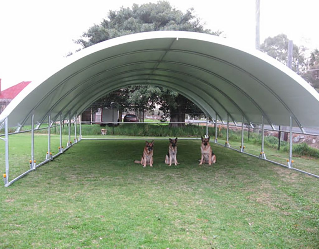 three dogs sitting under cover