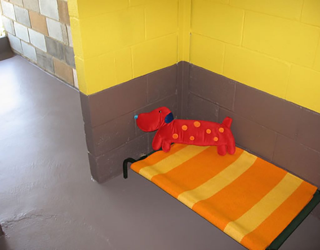 orange dog bed