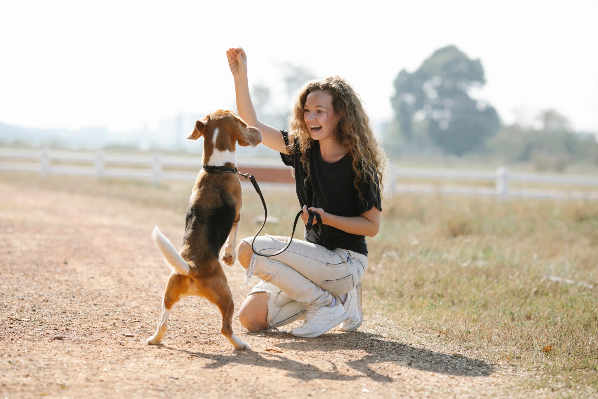 dog owner giving their small brown dog a treat whilst kneeling down