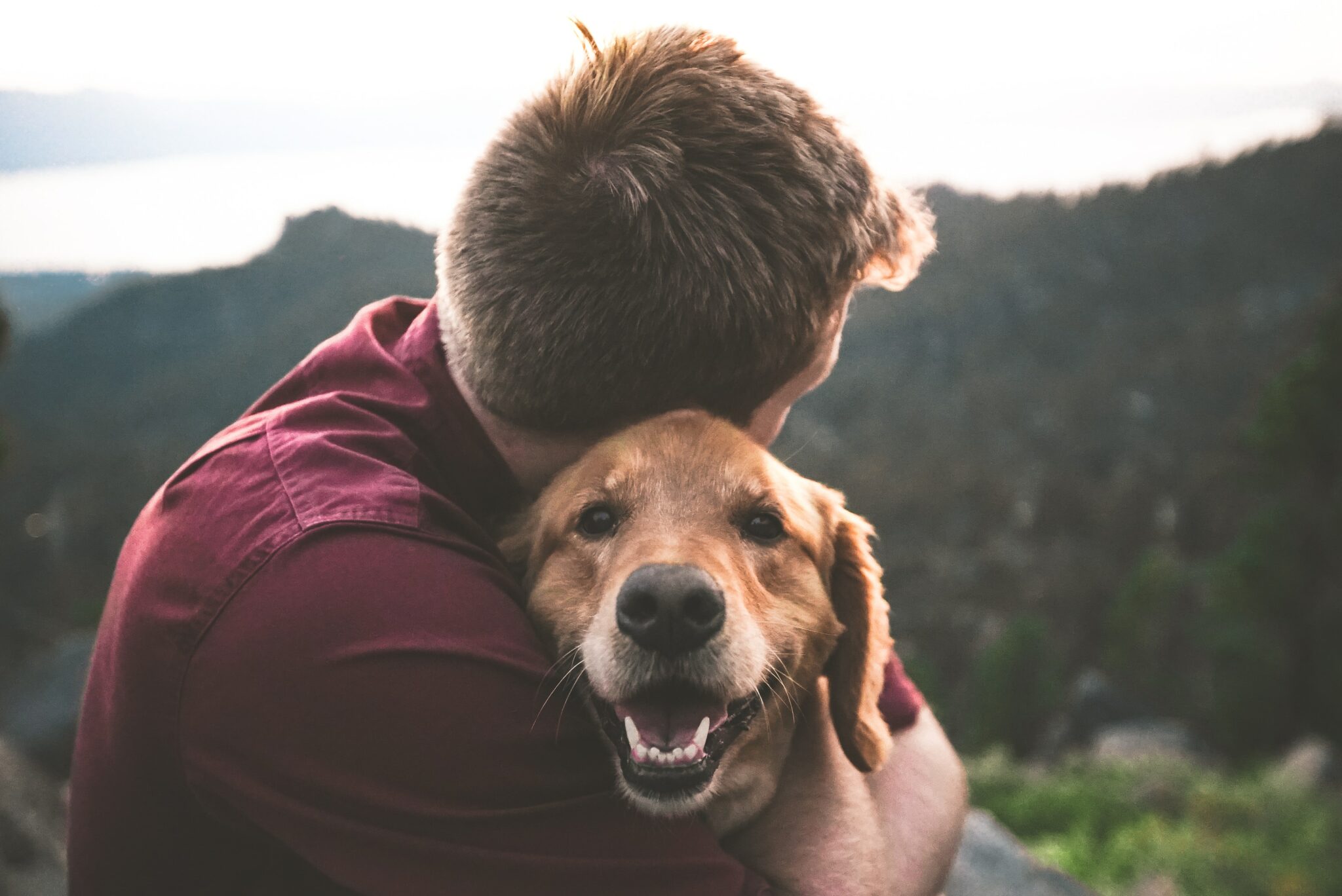 man hugging a smiling dog 