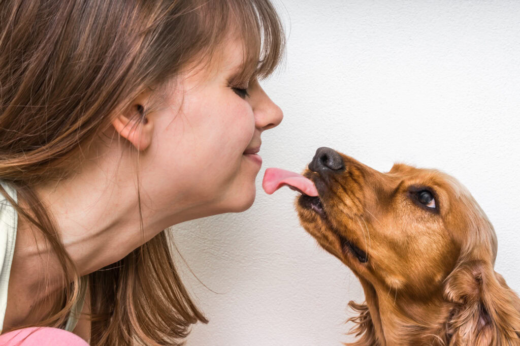 dog licking face 