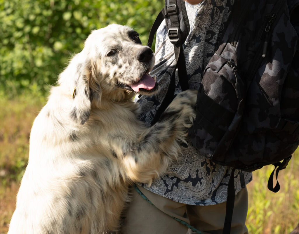 dog jumping on person 