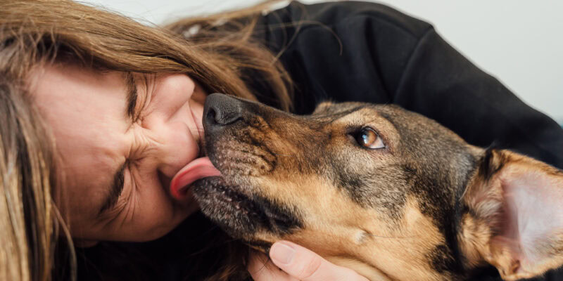 dog showing affection