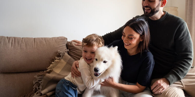 learn what dogs remember at Allbreeds