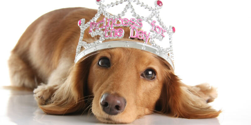 learn why you shouldn